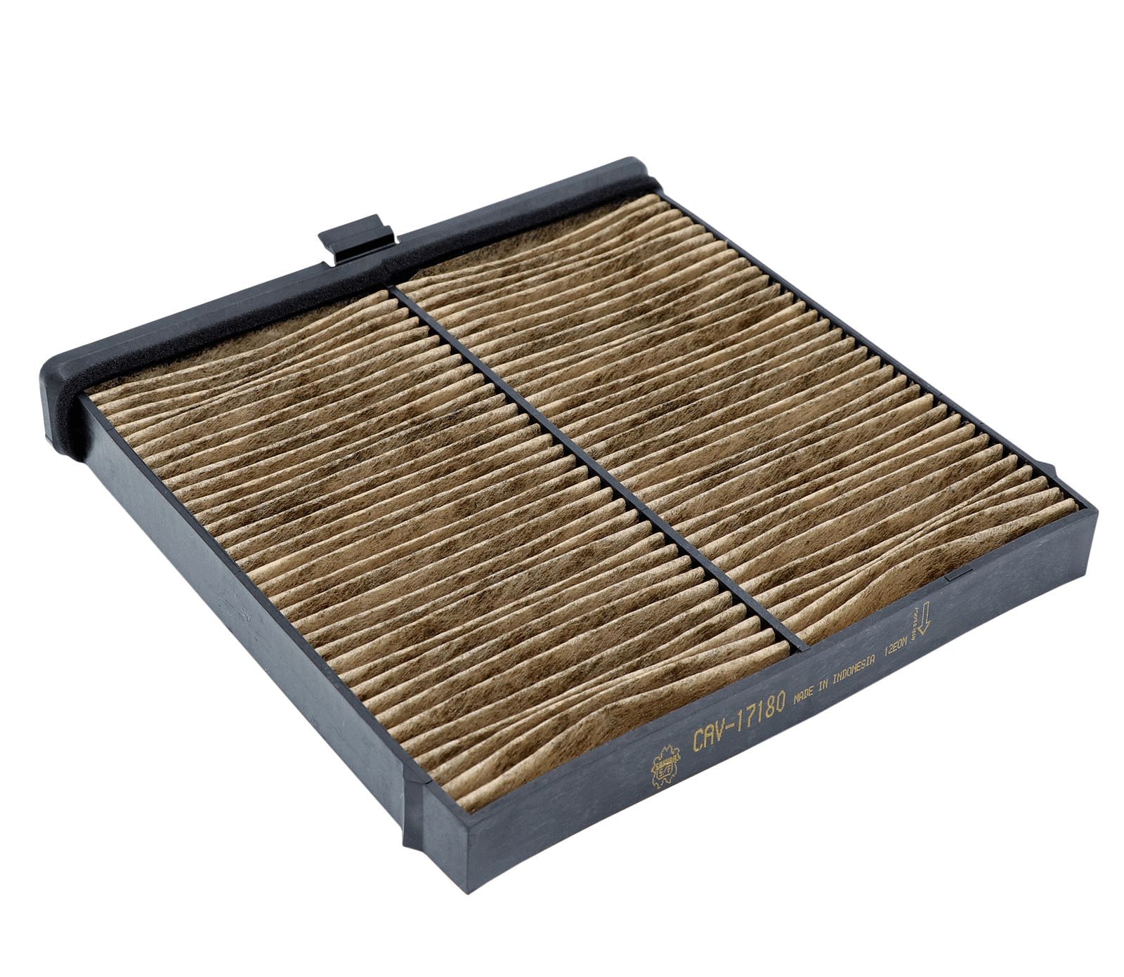 CABIN FILTER BIO GUARD RCA323P - TecDoc Only