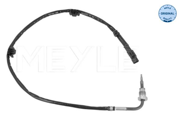 Sensor, Abgastemperatur