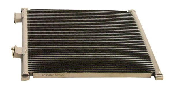 AC830100_2_LARGE.JPG