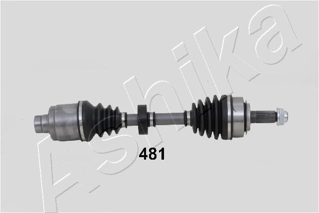 Drive Shaft 62-04-481