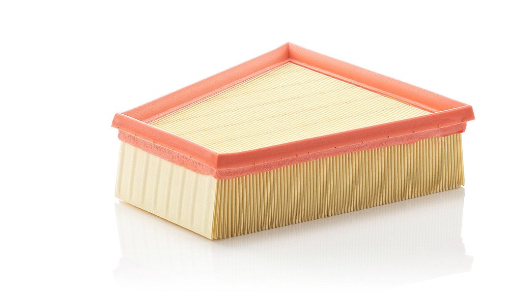 MANN-FILTER C 2295/2 - Luftfilter