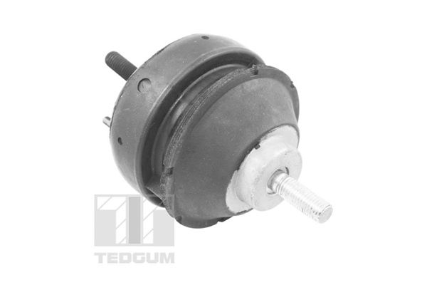 TEDGUM 00221186 - Lagerung, Motor