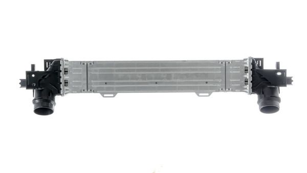 600515085.JPG