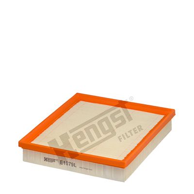 Air Filter E1079L