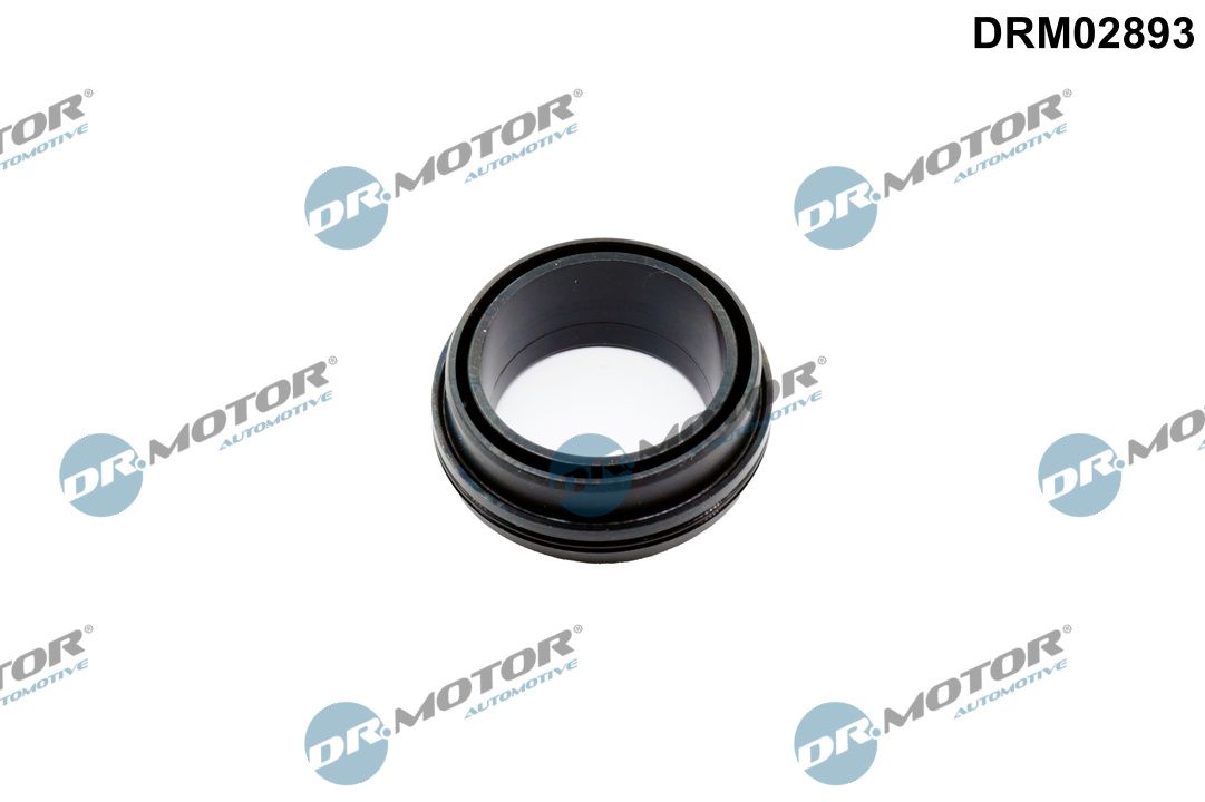 Dr.Motor Automotive DRM02893 - Dichtring, Lader