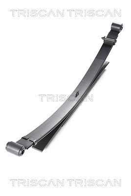TRISCAN 8765 14011 - Federnpaket