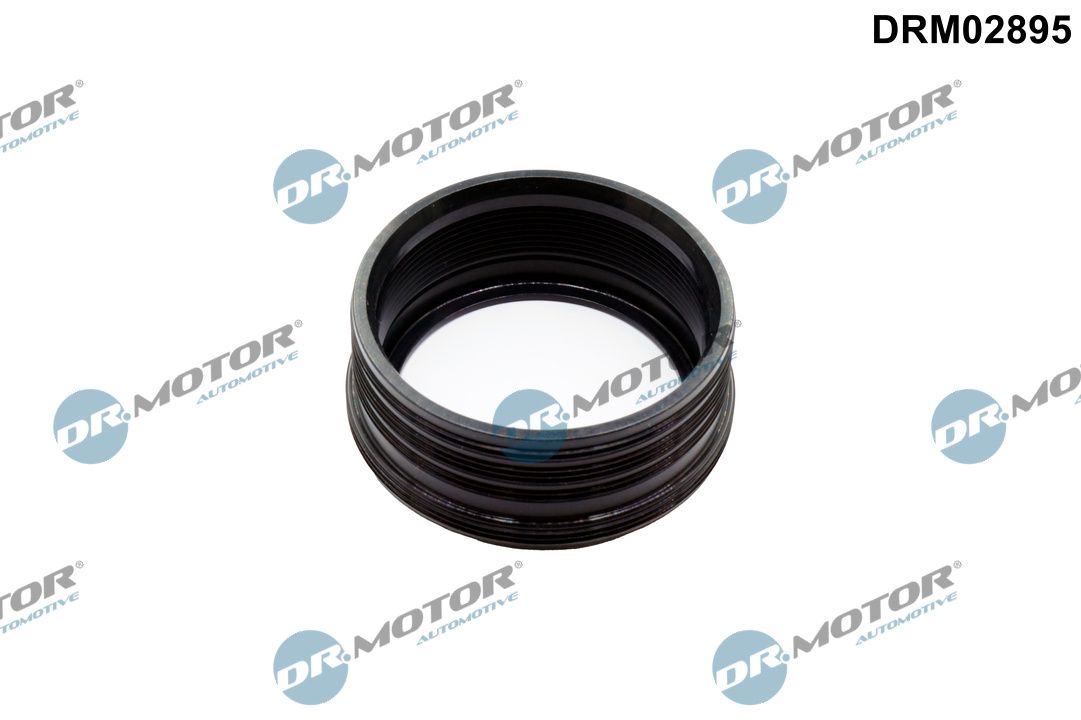 Dr.Motor Automotive DRM02895 Dichtring, Lader