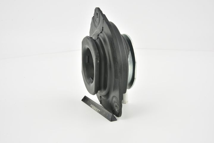 pakabos statramsčio atraminis guolis