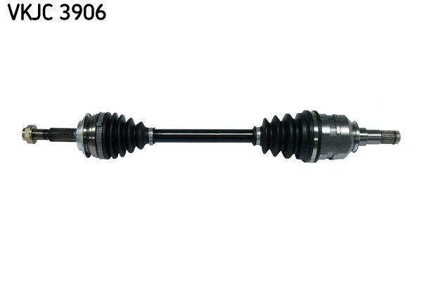 VKJC 3906.JPG