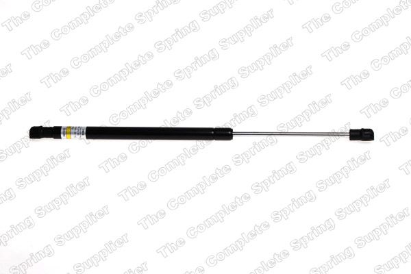 Gasfeder, Koffer-/Laderaum