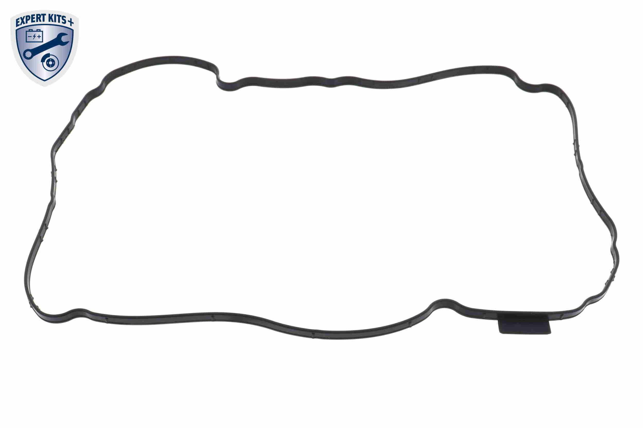 Kompl., autom. pavarų dėžės alyv. keit.