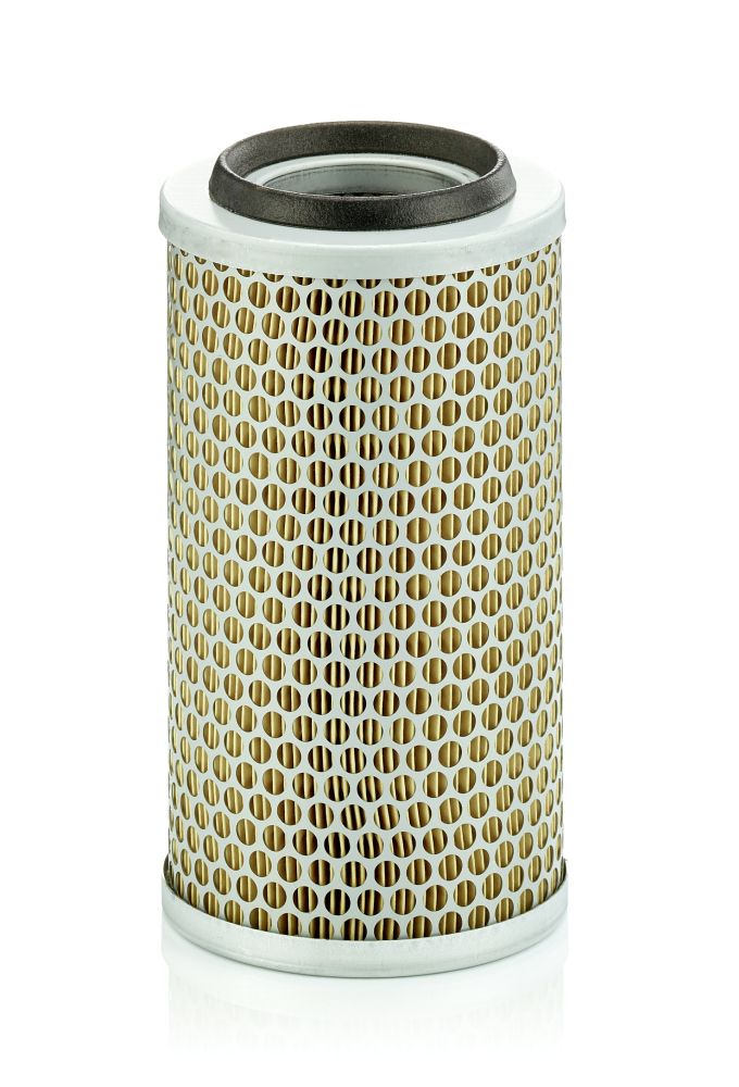 Air Filter C 13 131