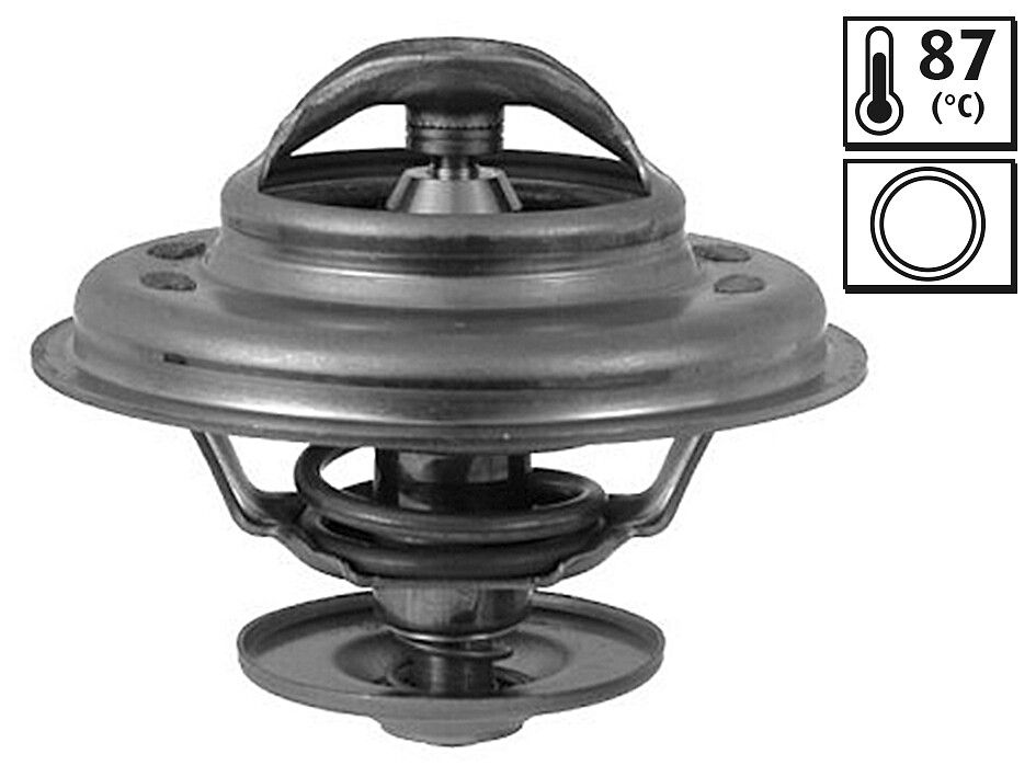 Thermostat, Kühlmittel