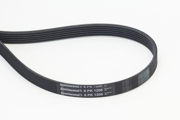 BELTPIC_6PK1200.JPG