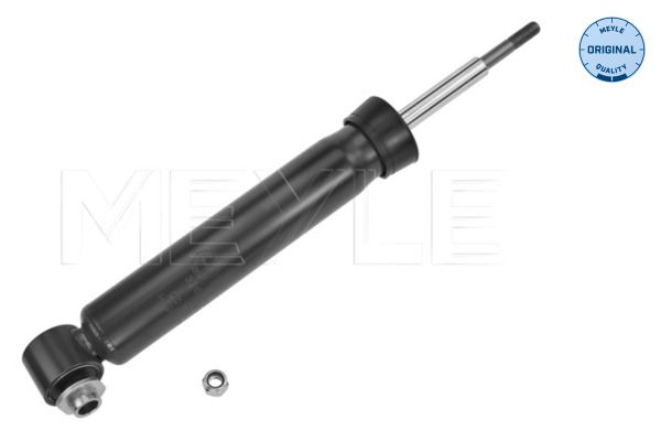 Sto&szlig;d&auml;mpfer