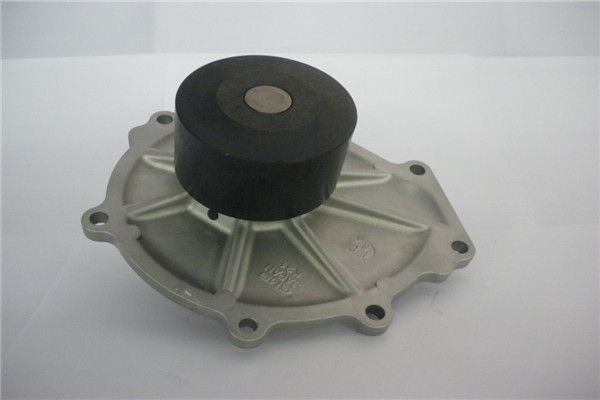 Bomba de agua, refrigeración del motor