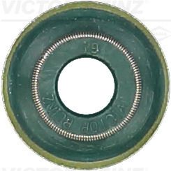Dichtring, Ventilschaft