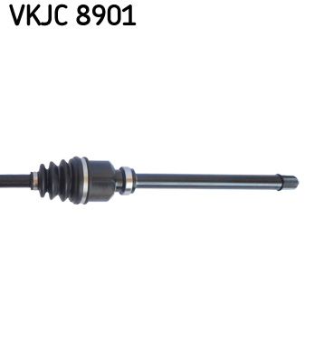 VKJC 8901_3.JPG