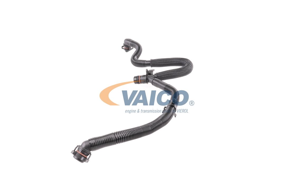 žarna, karterio alsuoklis