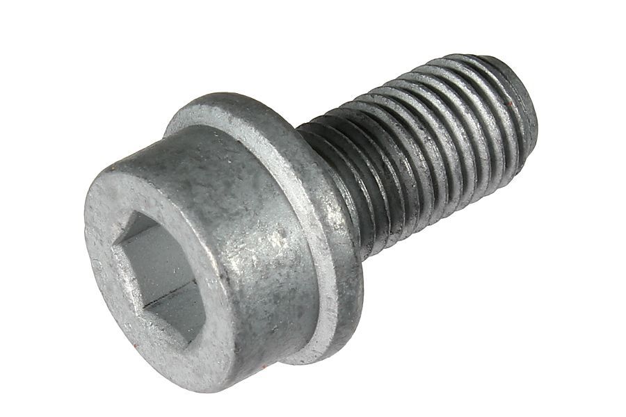 Schraube, Bremssattel