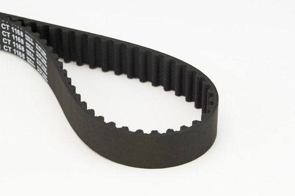 BELTPIC_CT1168.JPG
