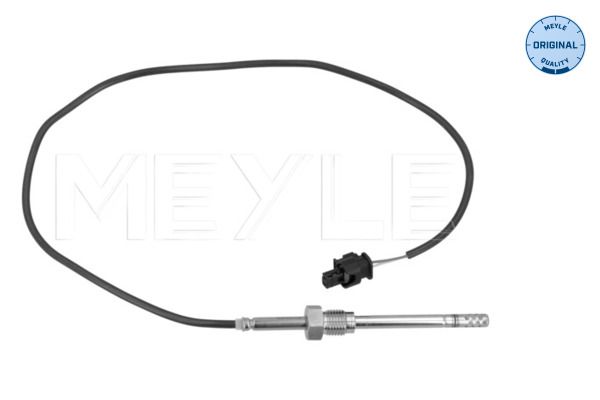 Sensor, Abgastemperatur