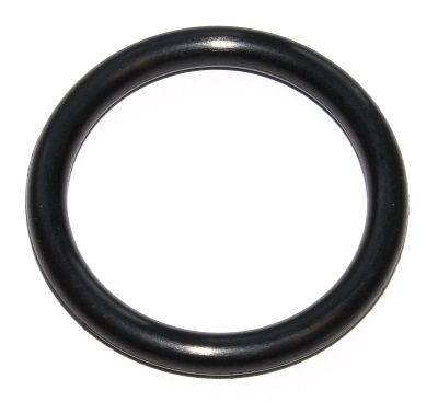 Dichtring