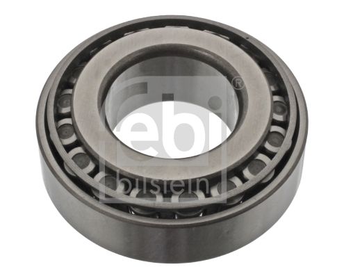 Wheel Bearing 06200