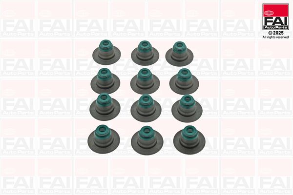 FAI VSK1635 Dichtungssatz, Ventilschaft