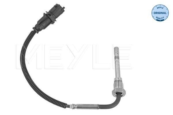 Sensor, Abgastemperatur