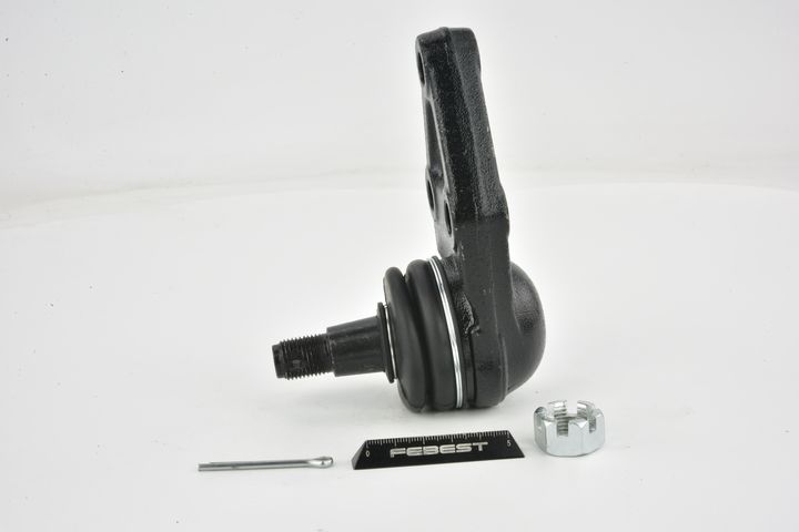 Šarnyras / girgždukas