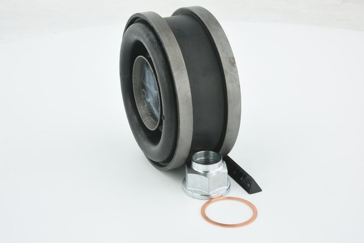 guolis, kardaninio veleno centrinis guolis