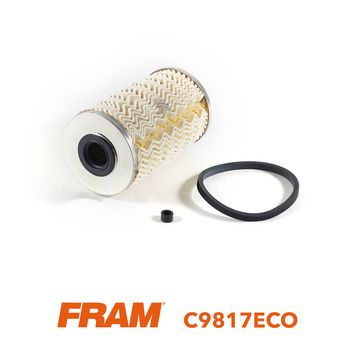 Filtro combustible