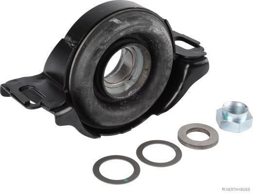 guolis, kardaninio veleno centrinis guolis