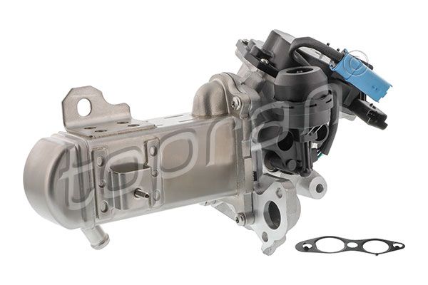 Kühler, Abgasrückführung