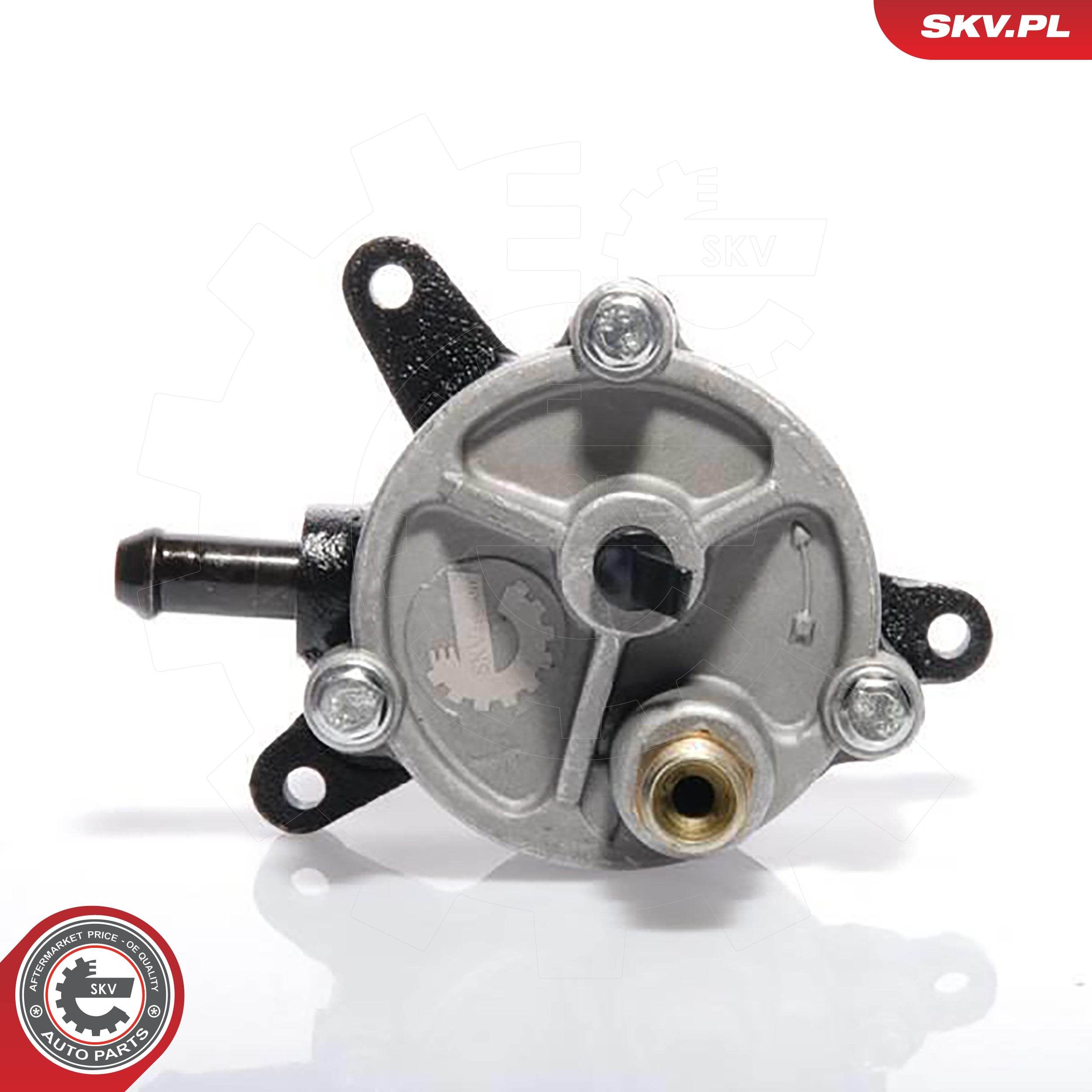 ESEN SKV 18SKV010 - Unterdruckpumpe, Bremsanlage