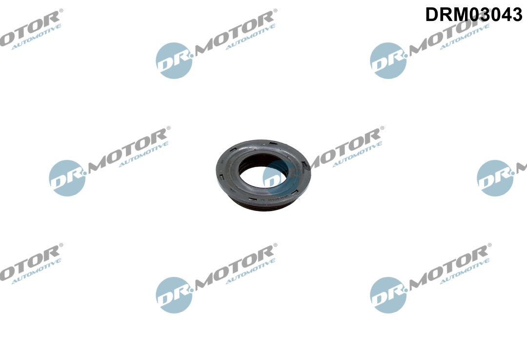 Dr.Motor Automotive DRM03043 - Dichtung, D&uuml;senhalter