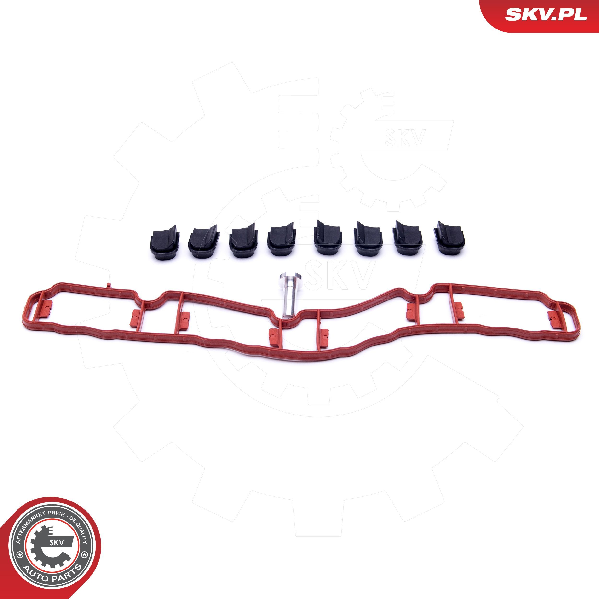 ESEN SKV 49SKV514 - Reparatursatz, Saugrohrmodul