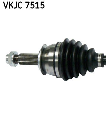 VKJC 7515_2.JPG