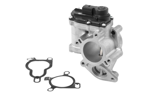 EGR Valve 710939R