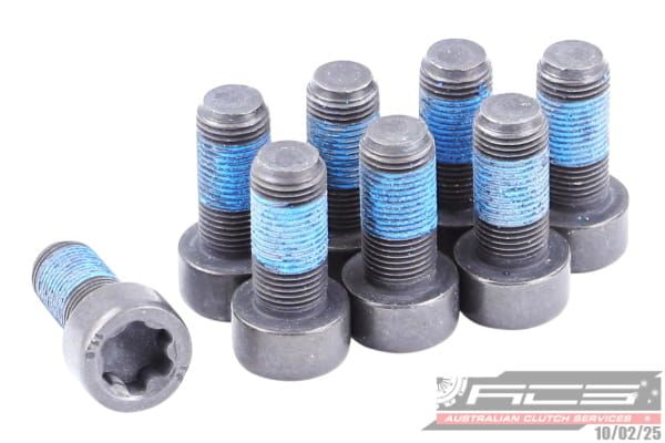 BOLT SET F/W RENA 10x1.0x24.5 (8) 73N - TecDoc Only