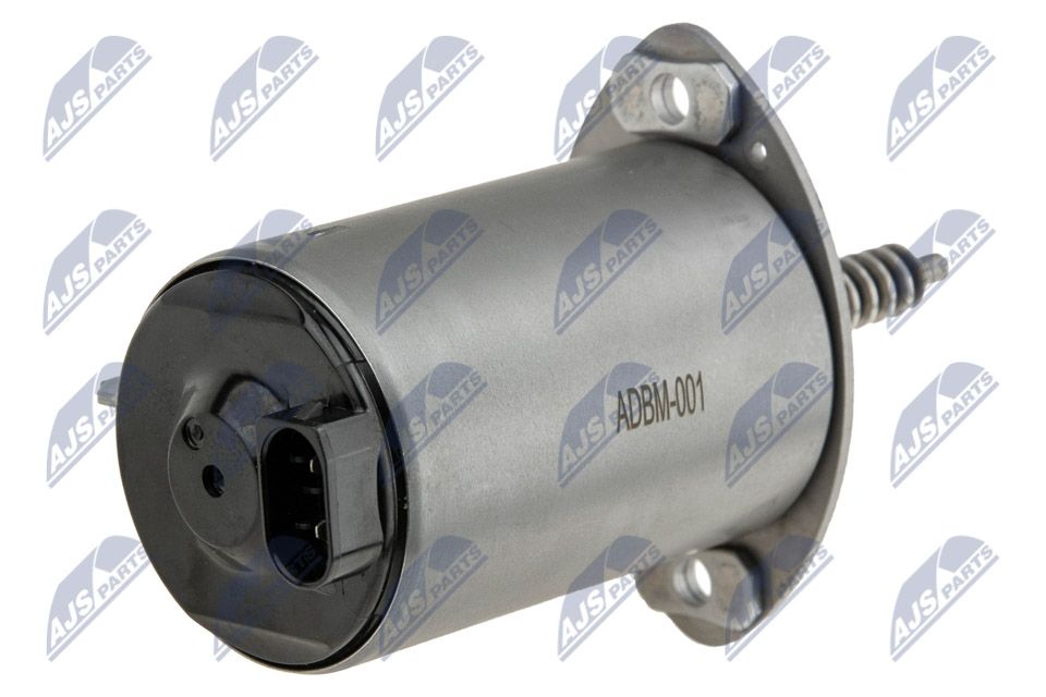 Stellelement, Exzenterwelle (variabler Ventilhub)