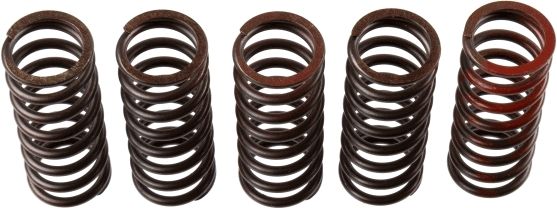 TRW MEF310-5 Clutch Spring Set