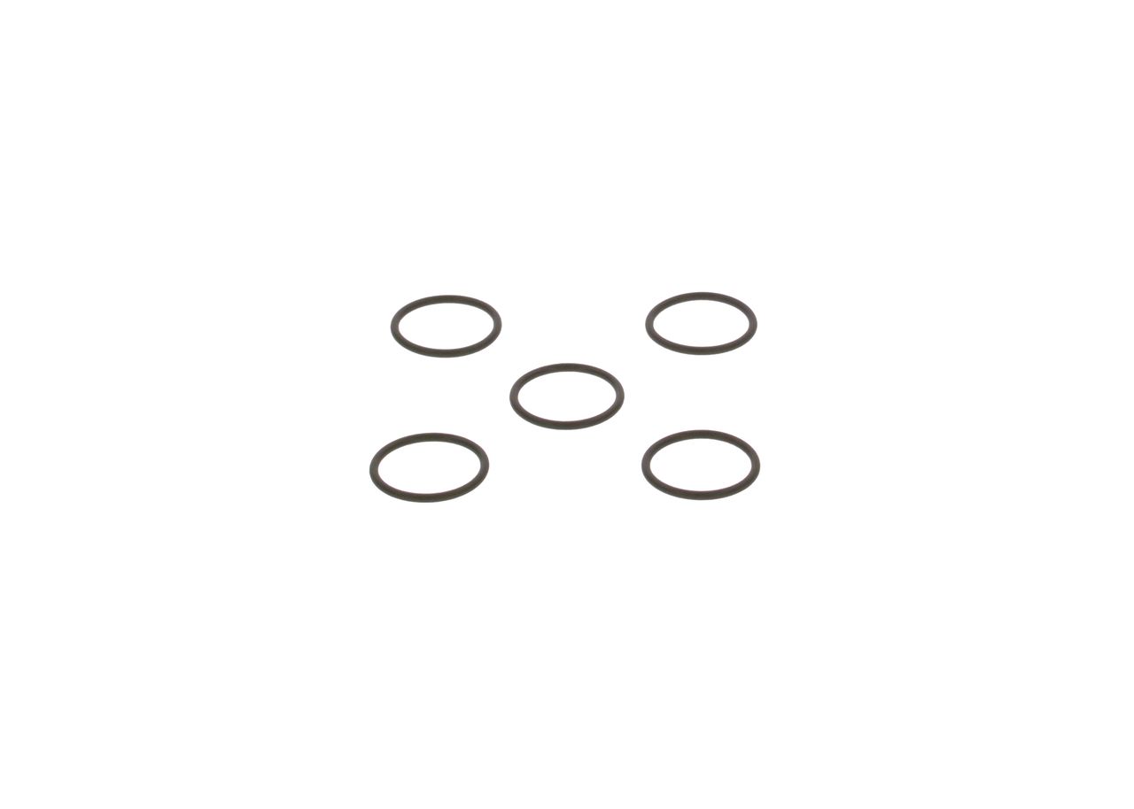 Dichtring