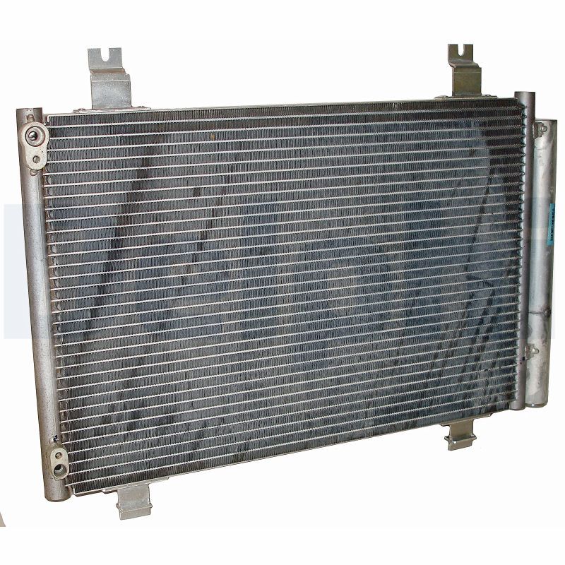 TSP0225622.JPG