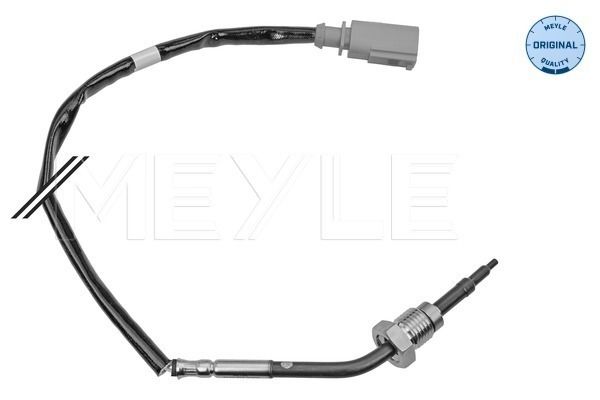 Sensor, Abgastemperatur