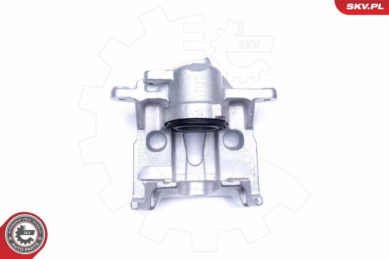 Brake Caliper 45SKV321