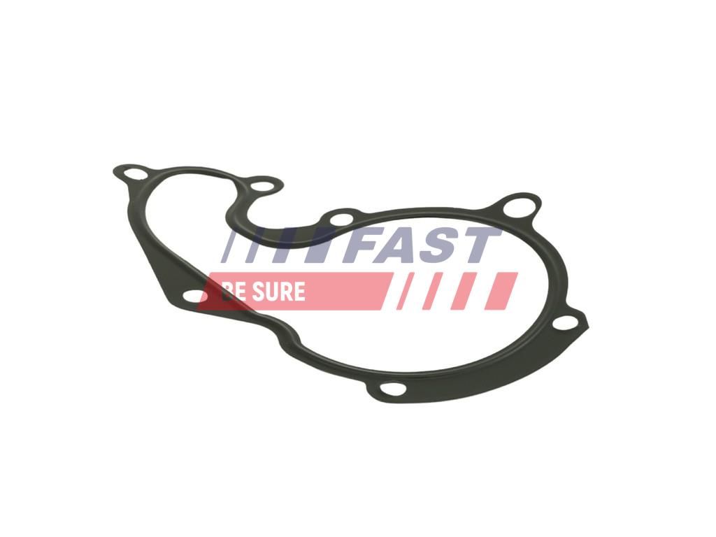 Dichtung, Wasserpumpe