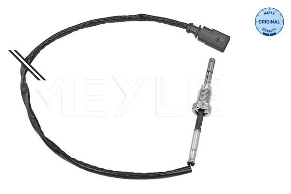 Sensor, Abgastemperatur