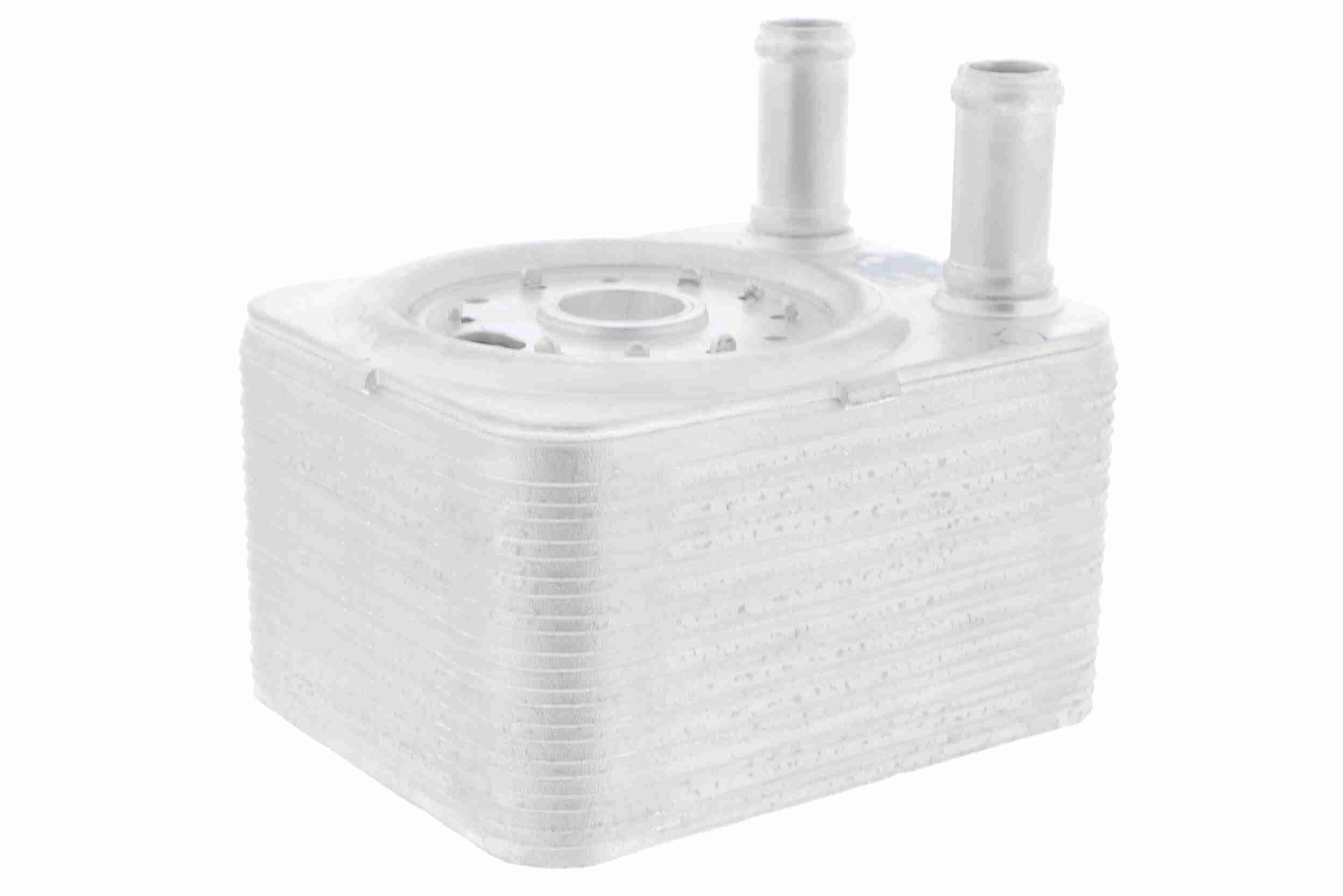 &Ouml;lk&uuml;hler, Motor&ouml;l